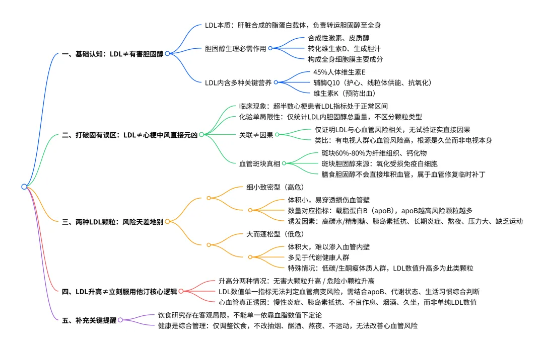 LDL 的思维图 LDL 的思维图